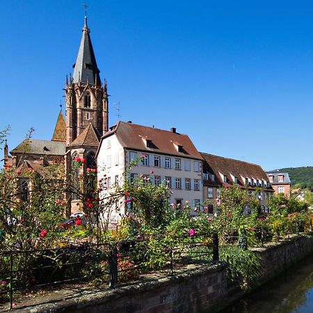 Emile&Jeanne - Centre - 2 Chambres - Wifi, Netflix Wissembourg Exterior foto