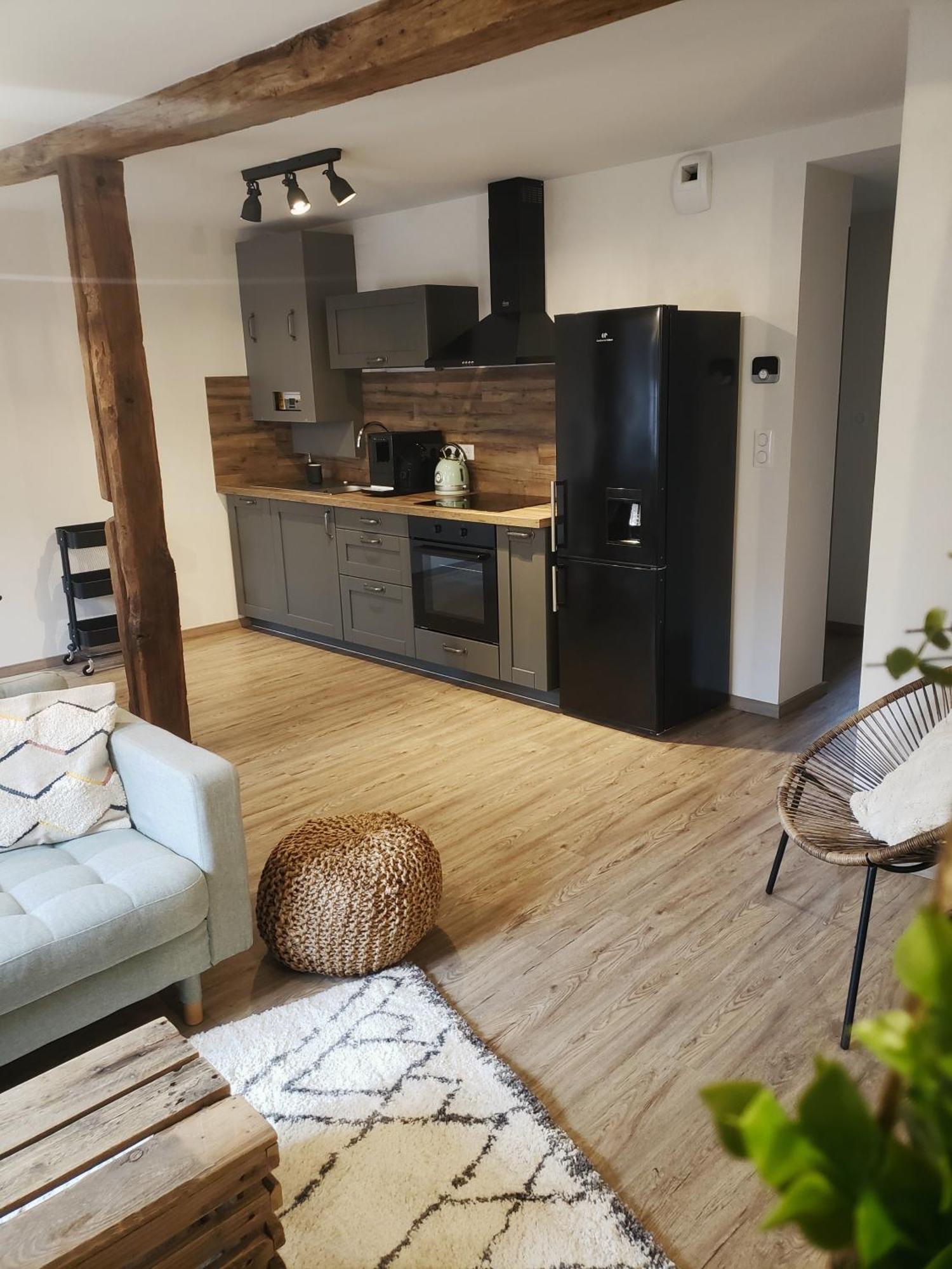 Emile&Jeanne - Centre - 2 Chambres - Wifi, Netflix Wissembourg Exterior foto